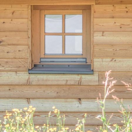 Das Koralpenchalet...Sonne, Wald, Natur! Trahutten Exteriér fotografie