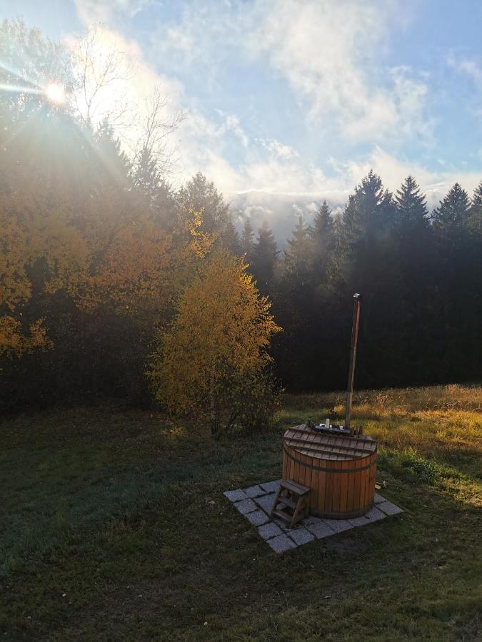 Das Koralpenchalet...Sonne, Wald, Natur! Trahutten Exteriér fotografie