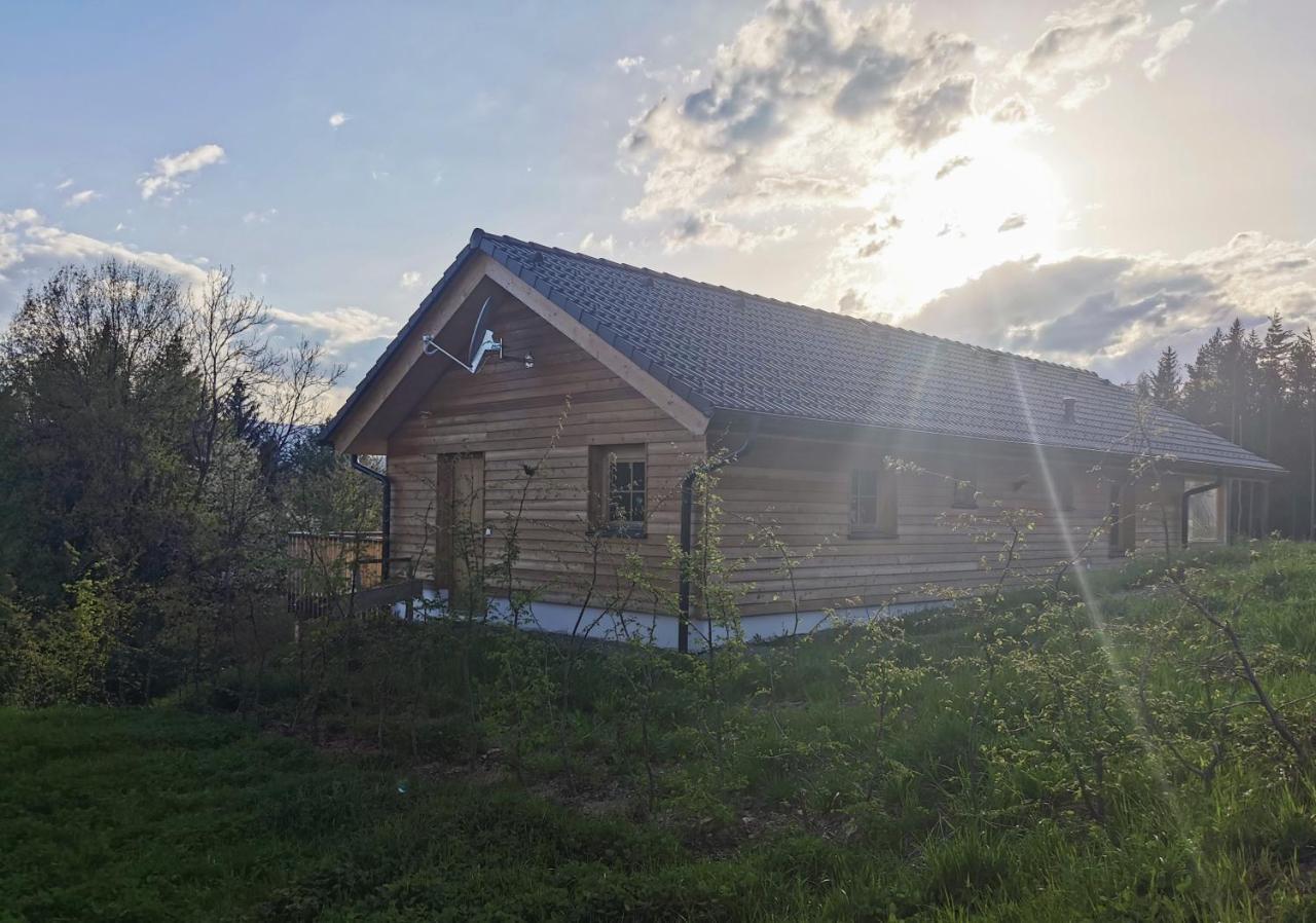 Das Koralpenchalet...Sonne, Wald, Natur! Trahutten Exteriér fotografie